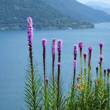 Casa Panorama Brissago